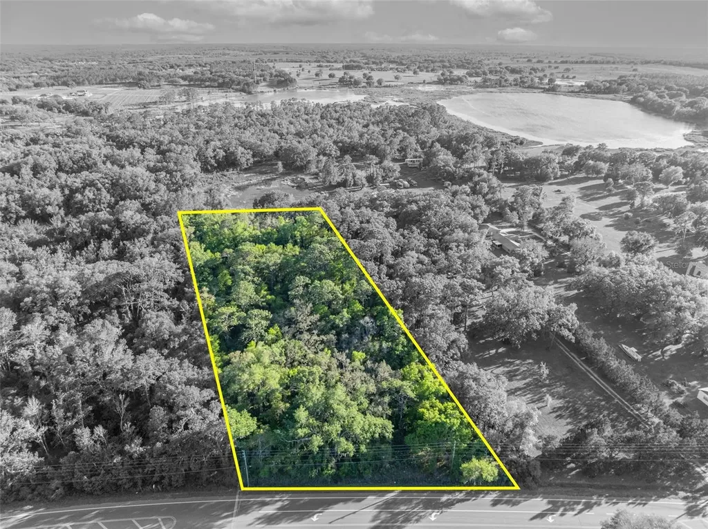 Tbd County Road 48 Yalaha FL 34797