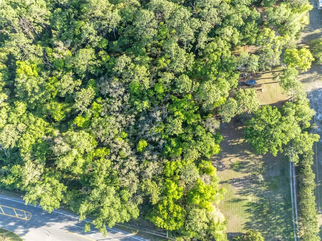 Tbd County Road 48 Yalaha FL 34797