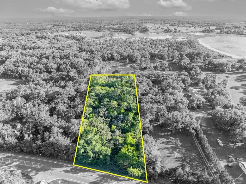 Tbd County Road 48 Yalaha FL 34797