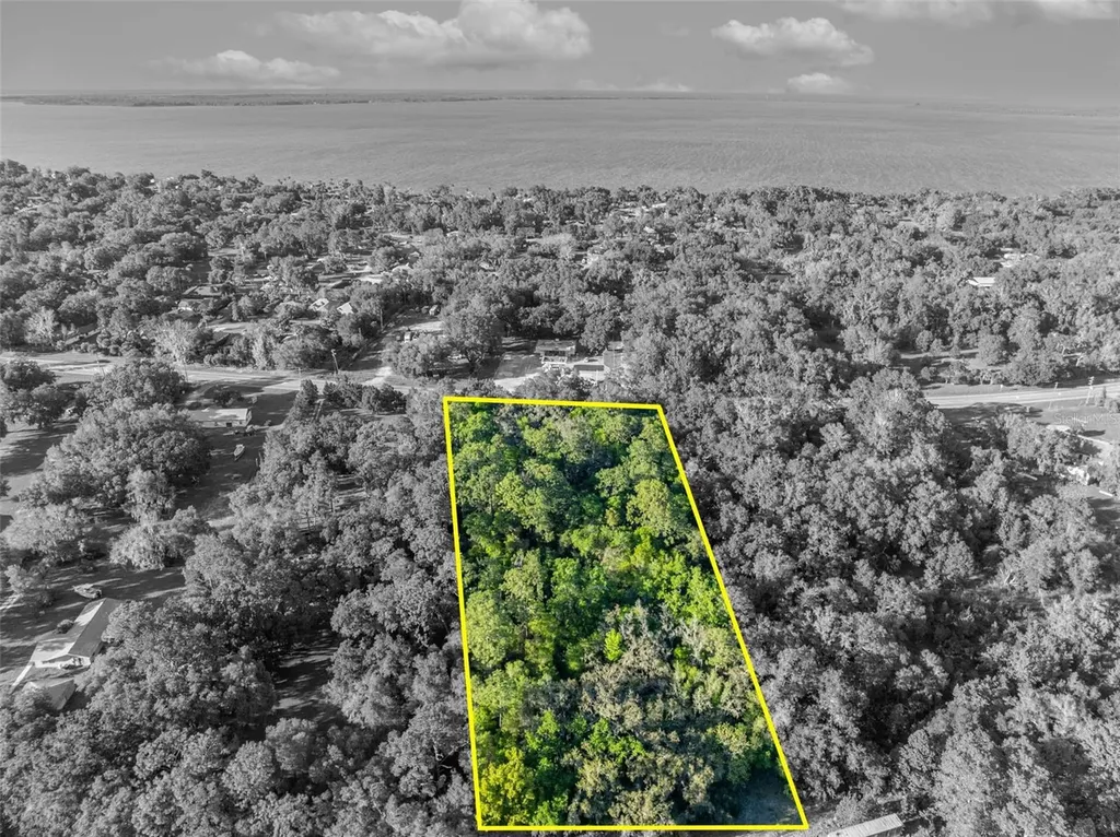 Tbd County Road 48 Yalaha FL 34797