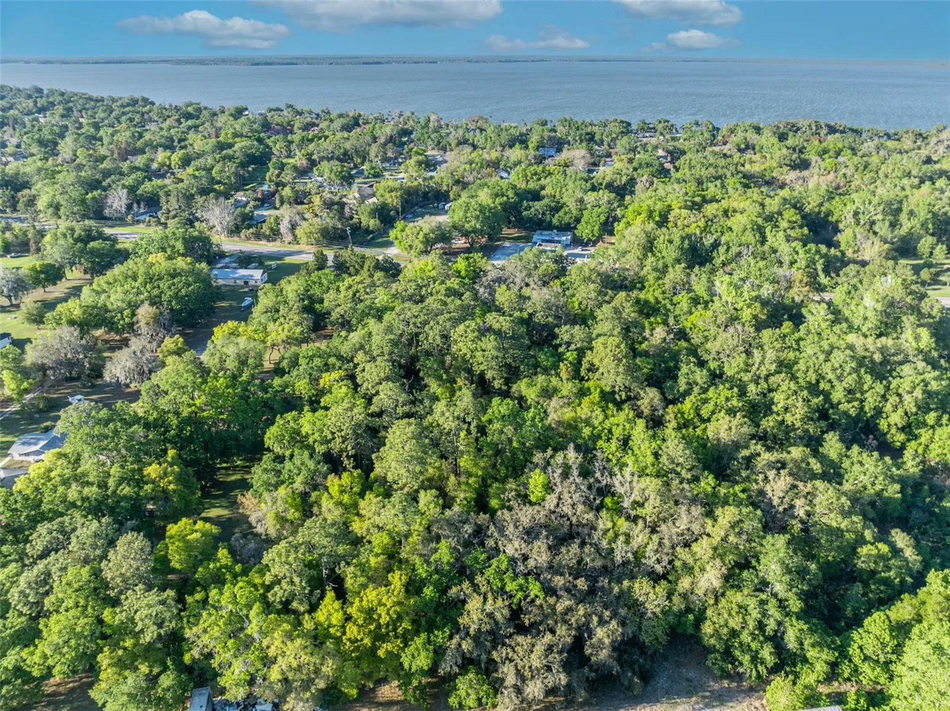 Tbd County Road 48 Yalaha FL 34797