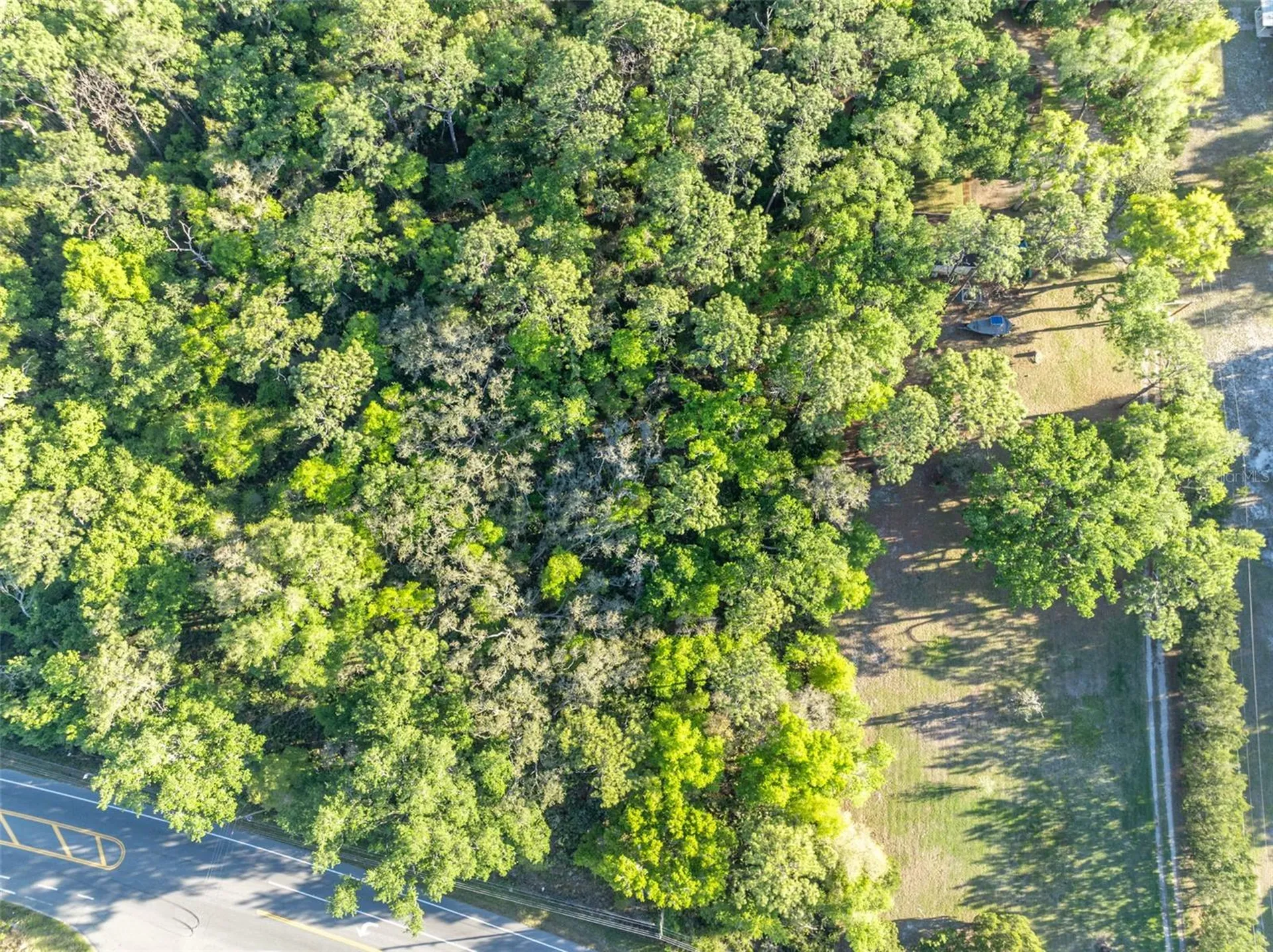 Tbd County Road 48 Yalaha FL 34797