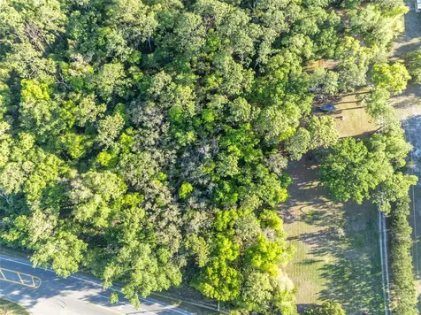Tbd County Road 48 Yalaha FL 34797