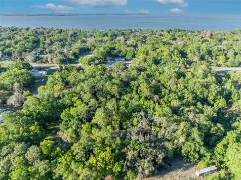 Tbd County Road 48 Yalaha FL 34797