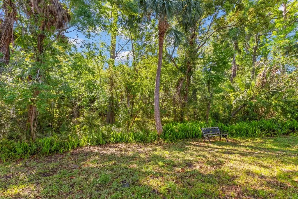 1200 Tarpon Woods Boulevard Palm Harbor FL 34685