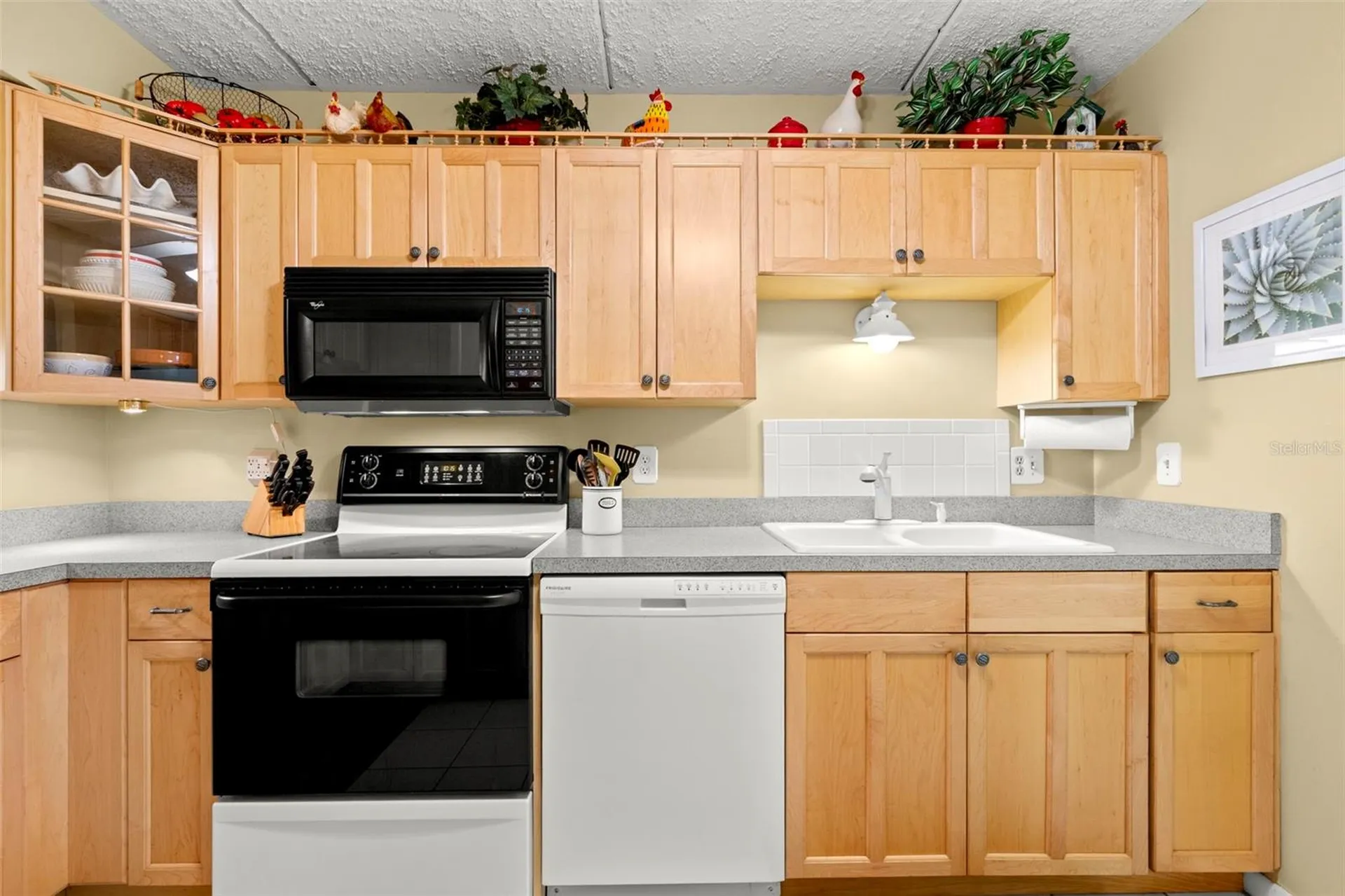 1200 Tarpon Woods Boulevard Palm Harbor FL 34685