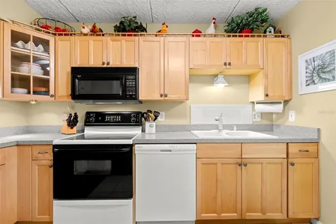 1200 Tarpon Woods Boulevard Palm Harbor FL 34685