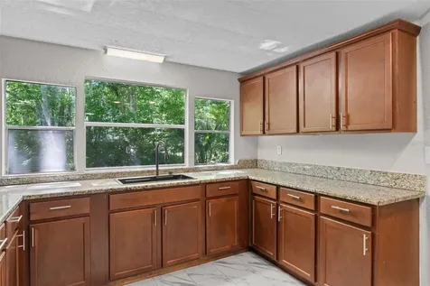 3547 Cr 405 Lake Panasoffkee FL 33538
