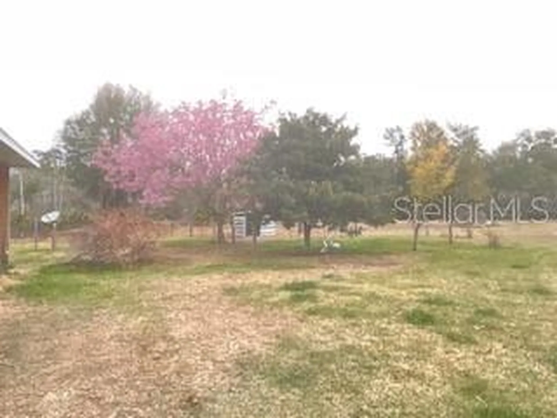 32420 County Road 473 Leesburg FL 34788