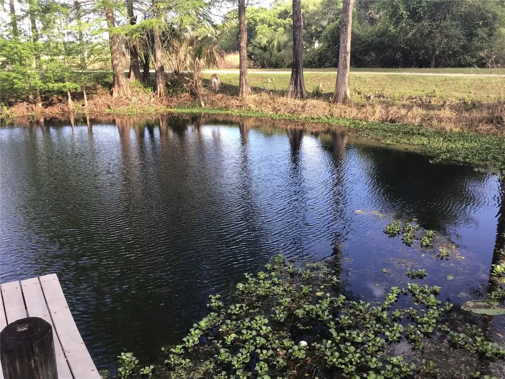 12451 SE 115th Avenue Belleview FL 34420
