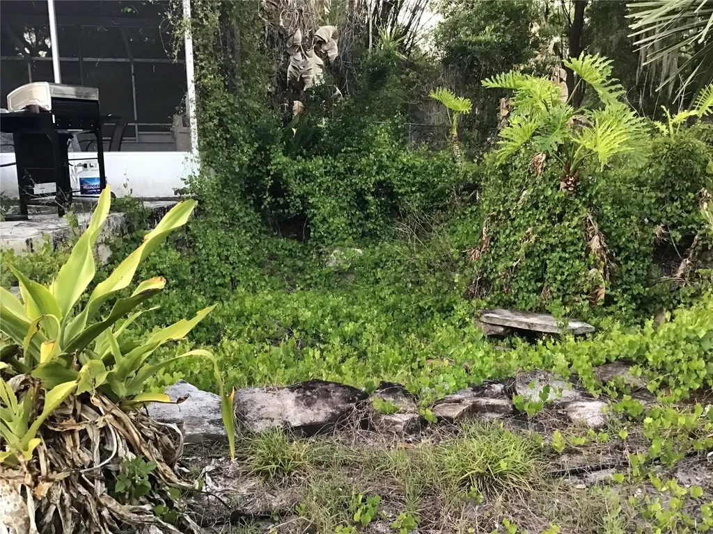 12451 SE 115th Avenue Belleview FL 34420