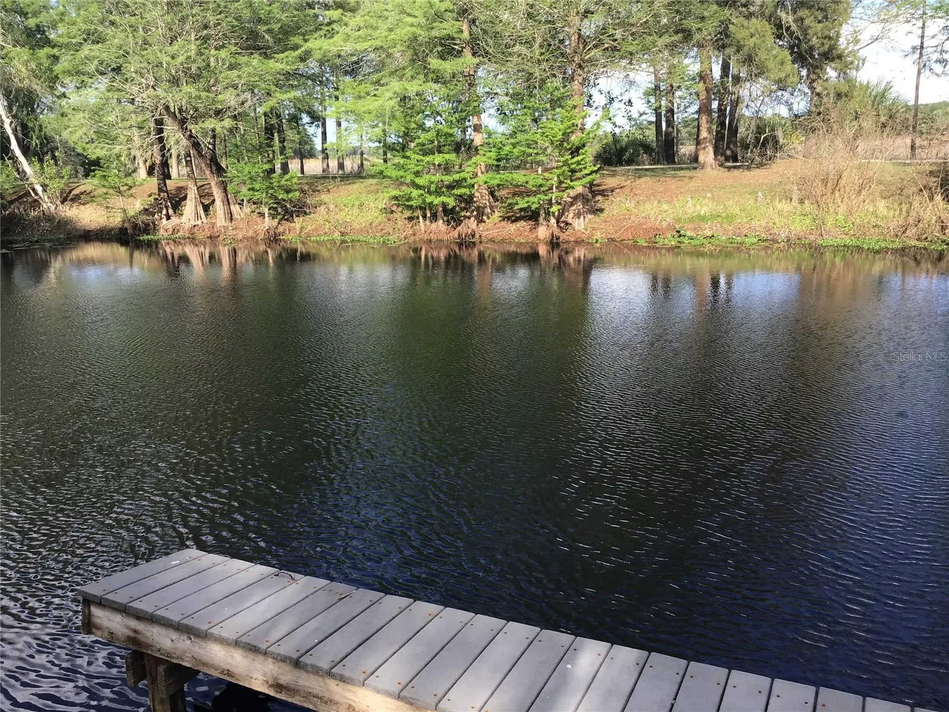 12451 SE 115th Avenue Belleview FL 34420