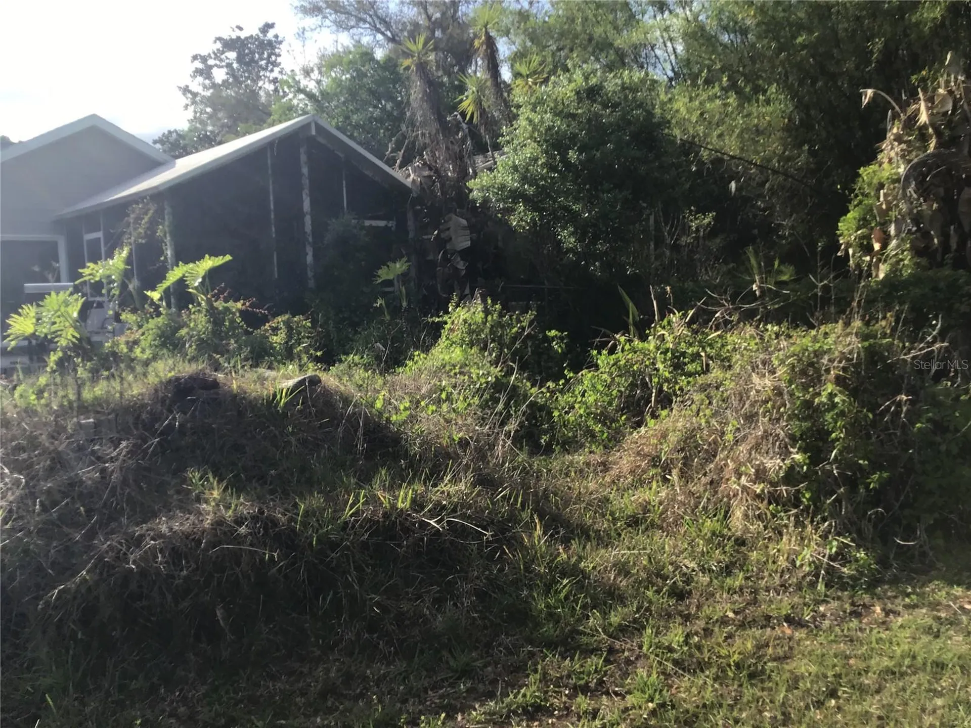 12451 SE 115th Avenue Belleview FL 34420