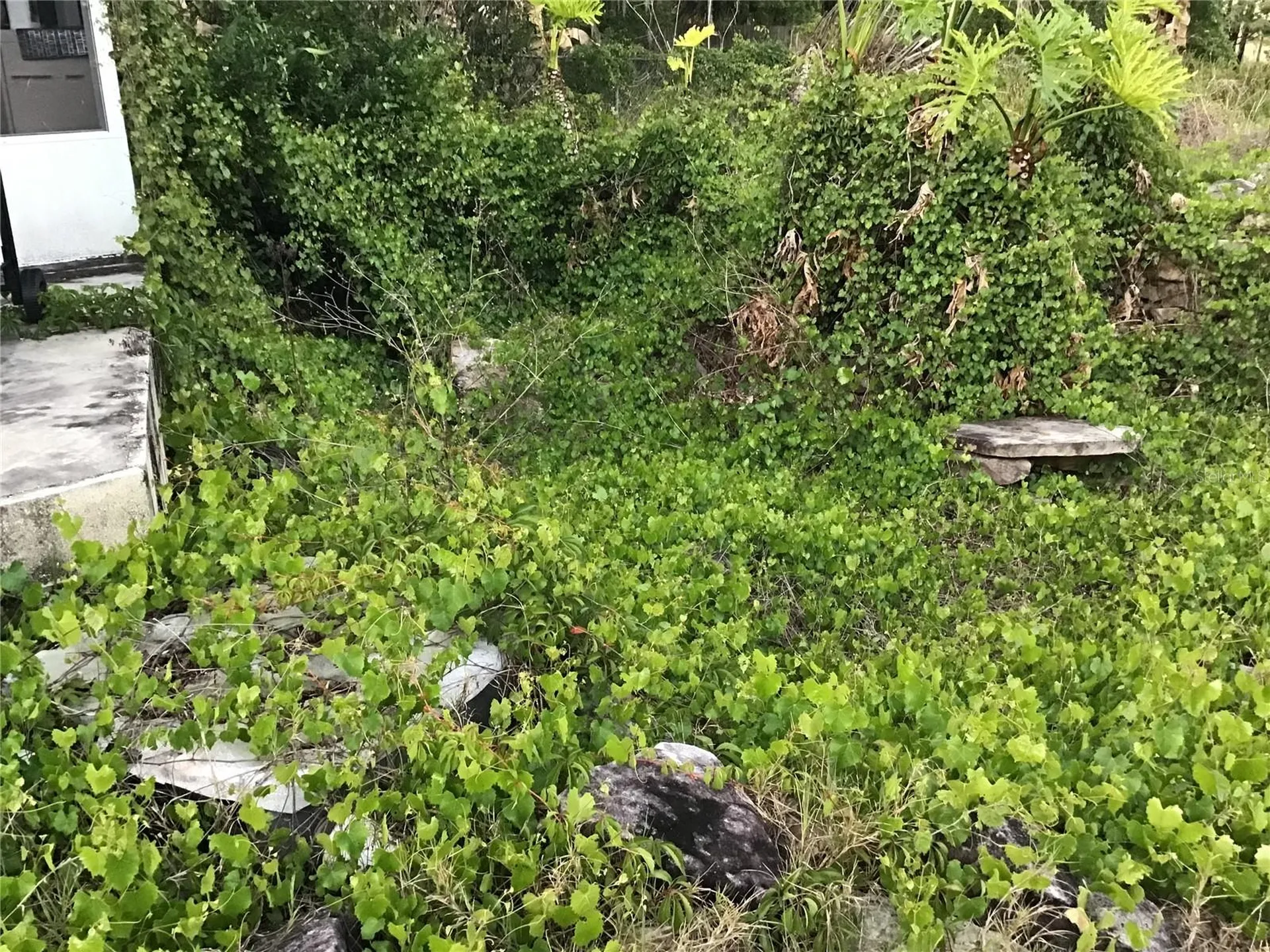 12451 SE 115th Avenue Belleview FL 34420