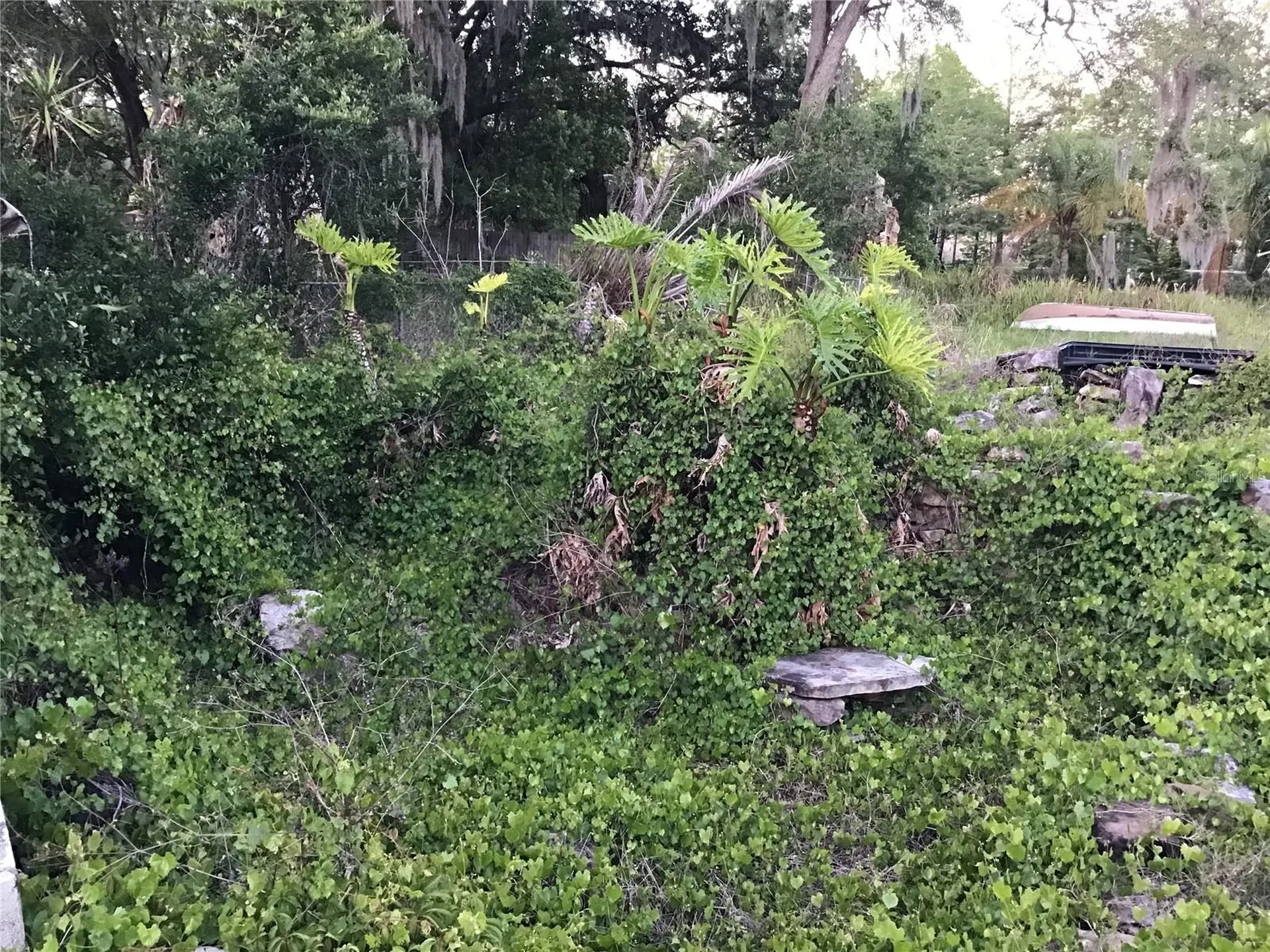 12451 SE 115th Avenue Belleview FL 34420