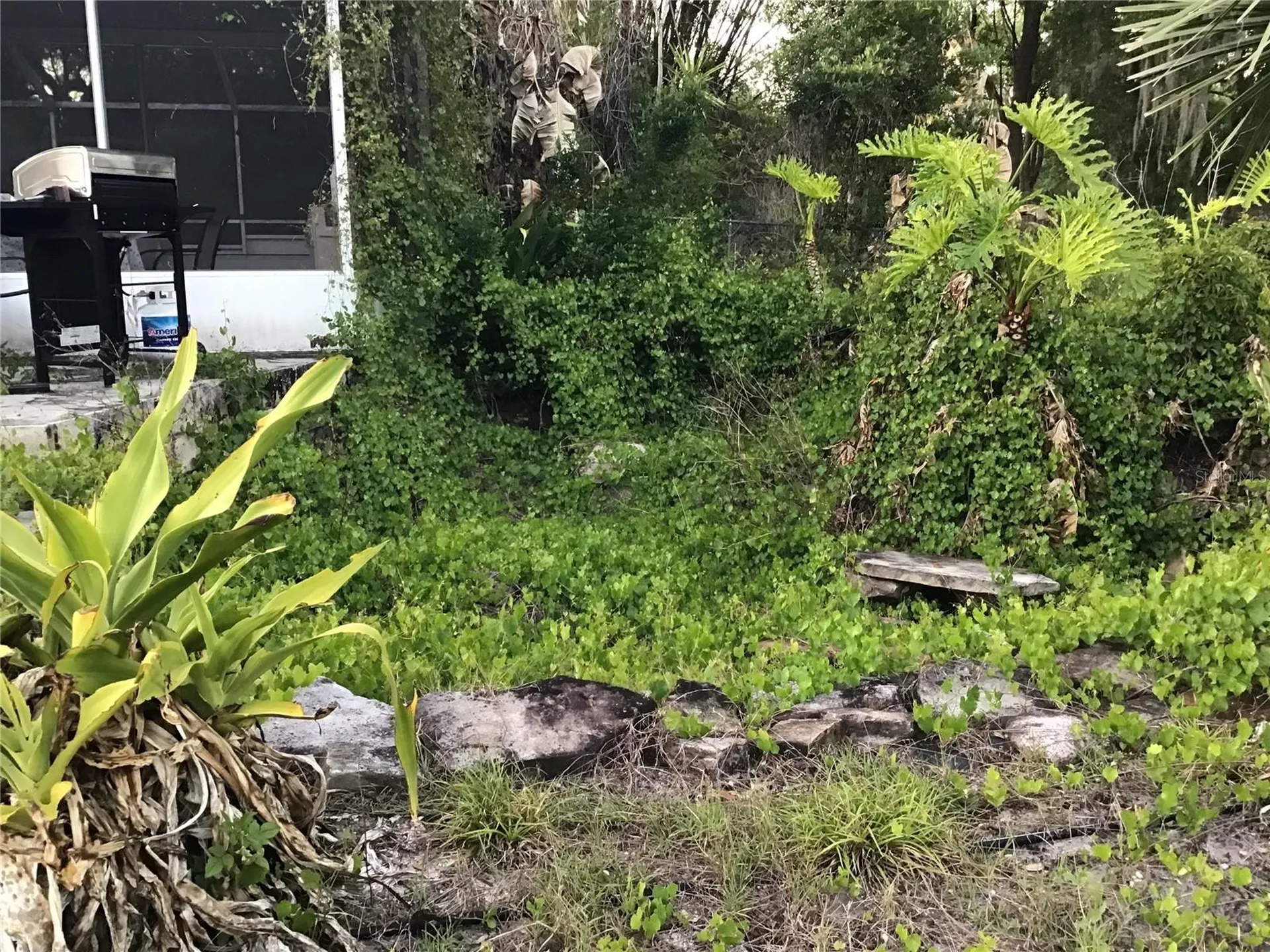 12451 SE 115th Avenue Belleview FL 34420