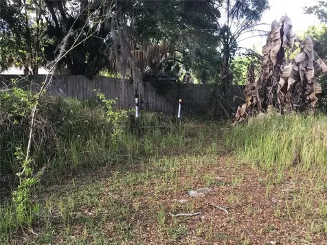 12451 SE 115th Avenue Belleview FL 34420