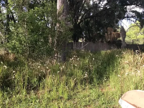 12451 SE 115th Avenue Belleview FL 34420
