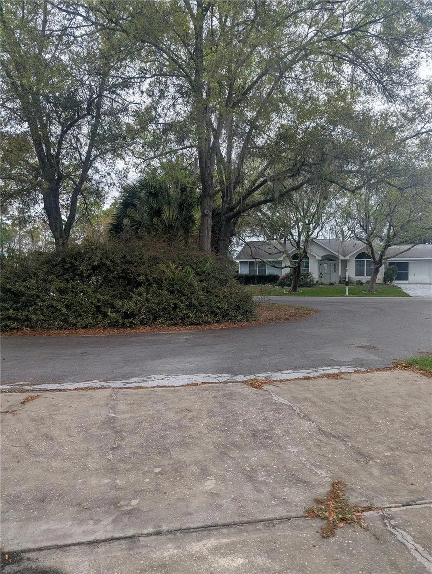 10816 SW 83rd Avenue Ocala FL 34481