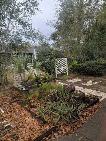 10816 SW 83rd Avenue Ocala FL 34481