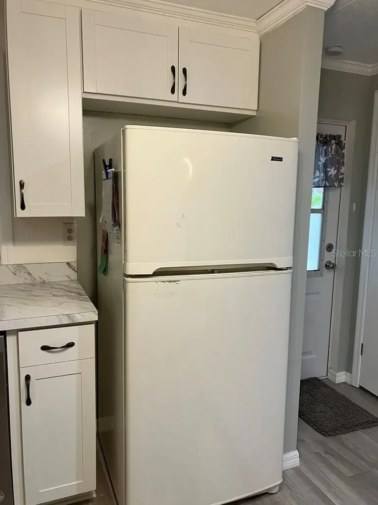 1305 Mohawk Circle Tavares FL 32778
