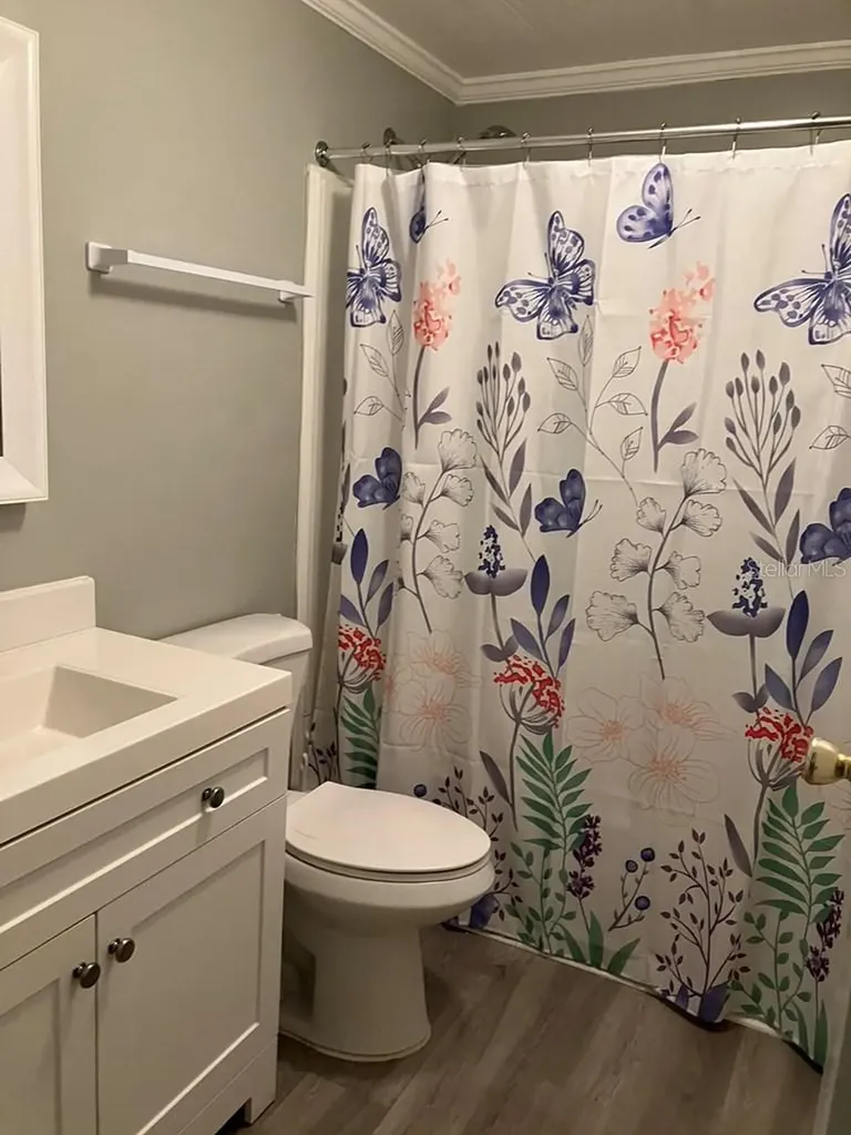 1305 Mohawk Circle Tavares FL 32778