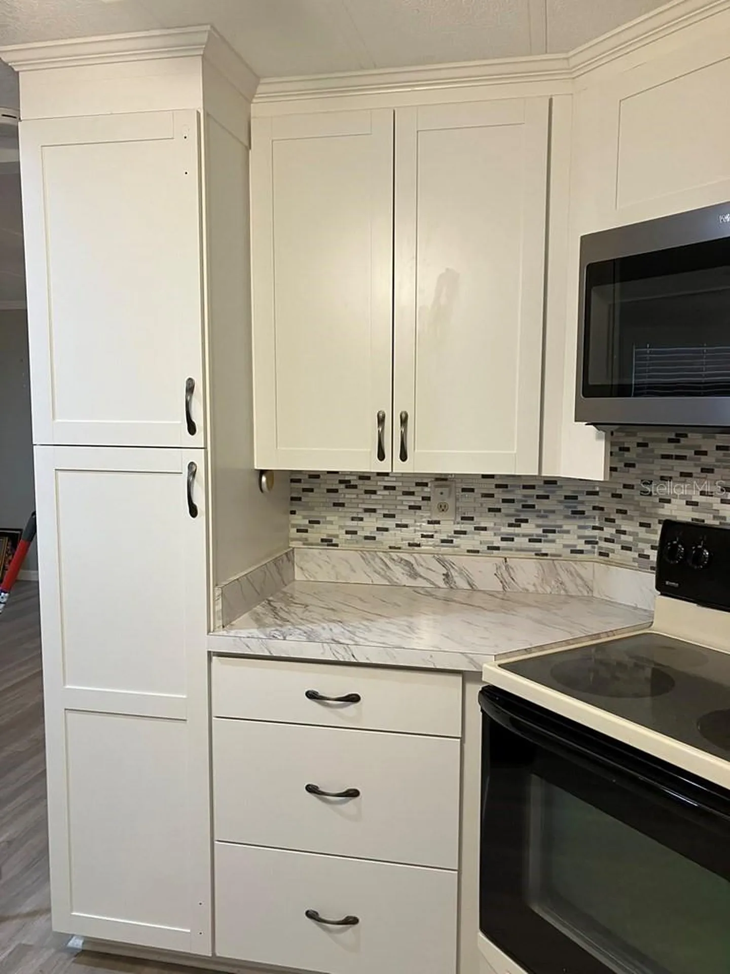 1305 Mohawk Circle Tavares FL 32778