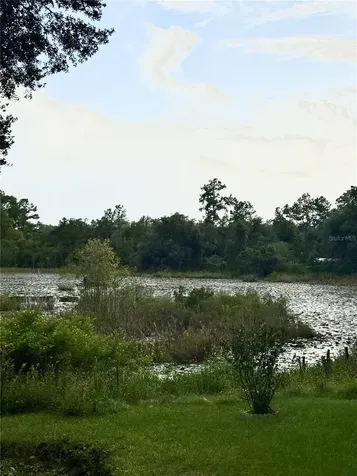 5756 NE 165th Terrace Road Silver Springs FL 34488
