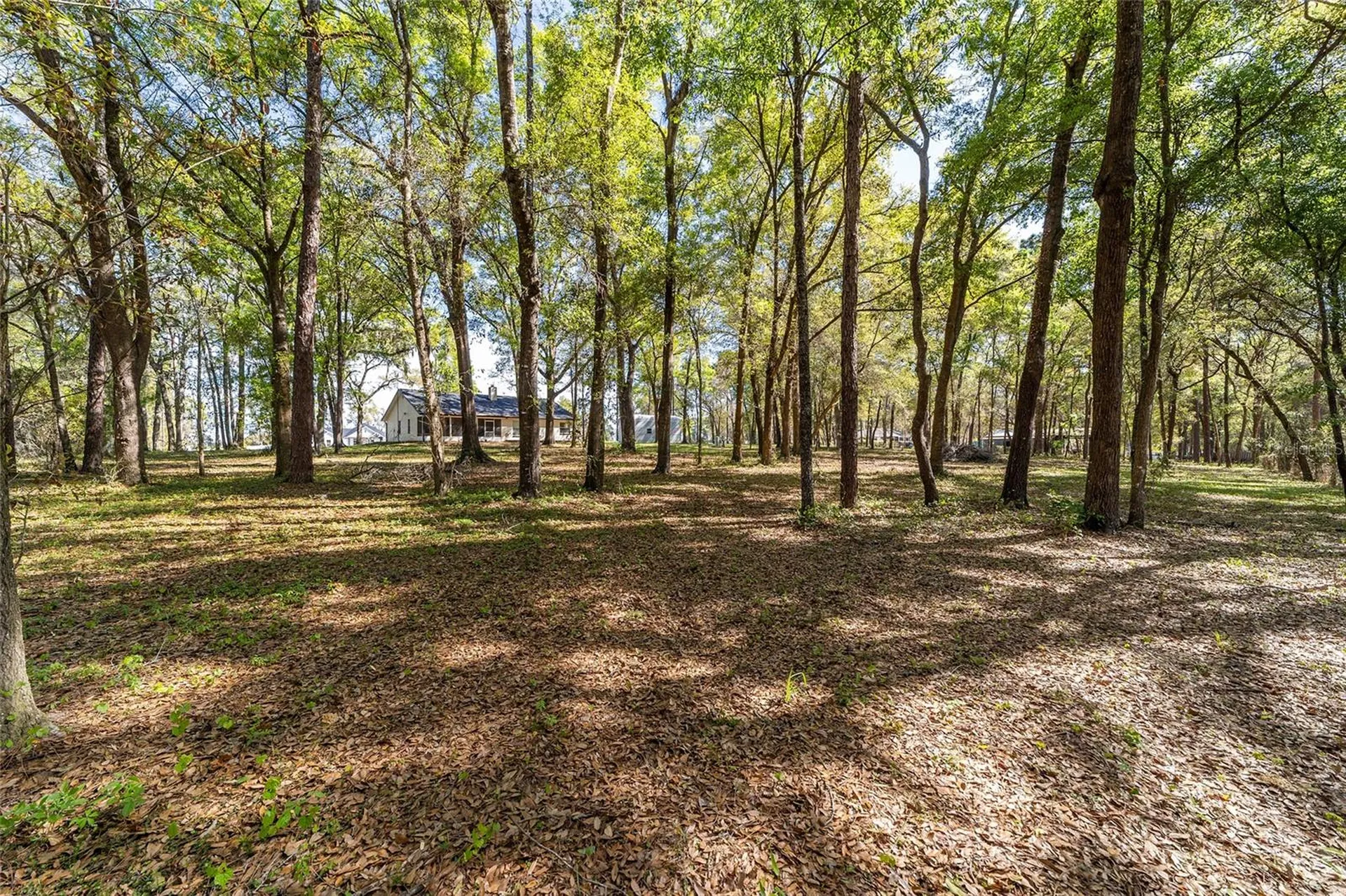 13740 SW 49th Place Ocala FL 34481