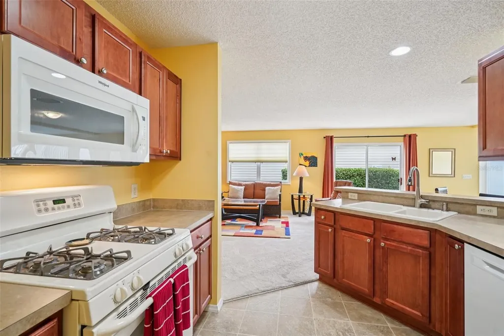 2368 Branchville Terrace The Villages FL 32162