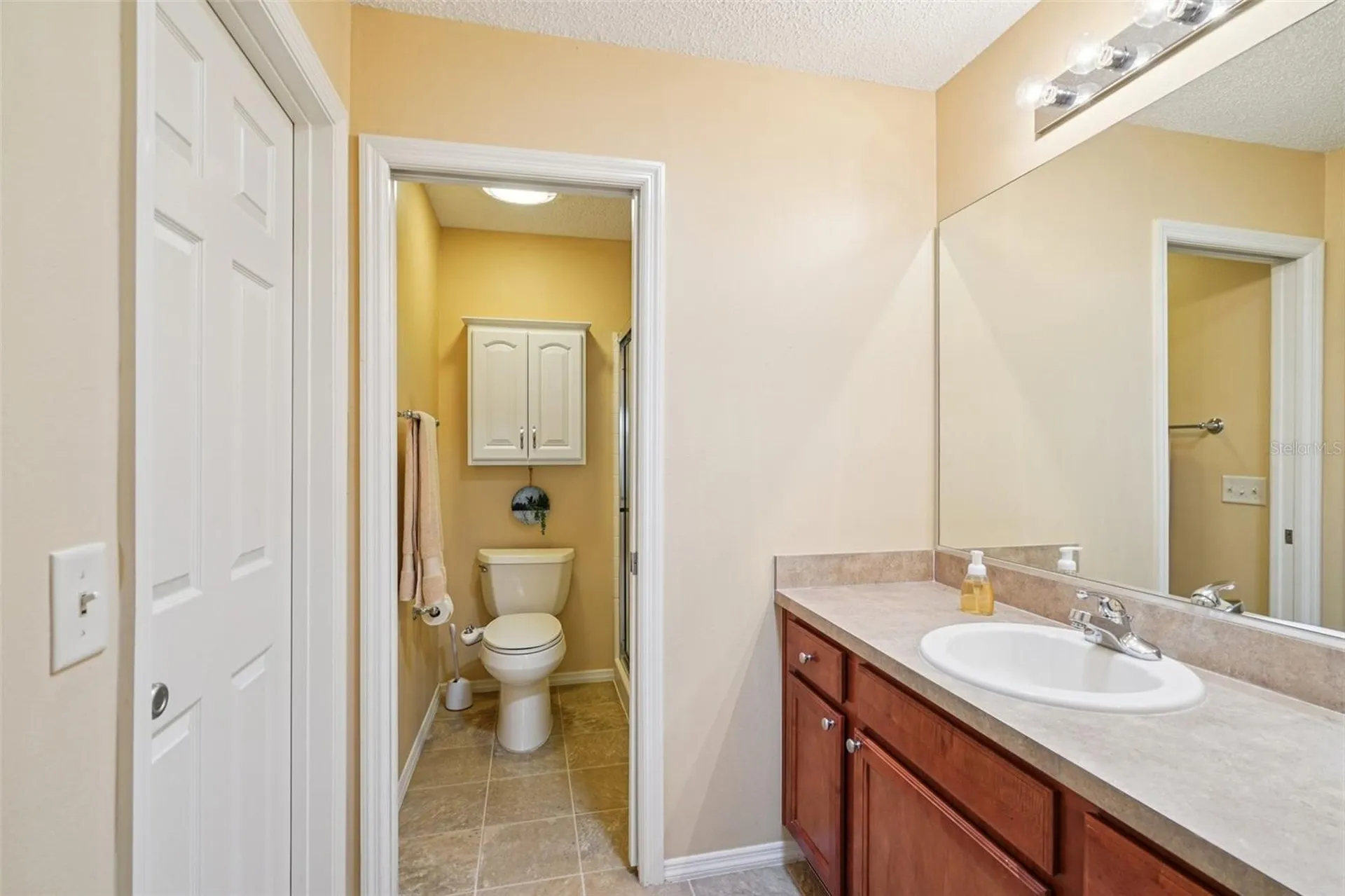 2368 Branchville Terrace The Villages FL 32162