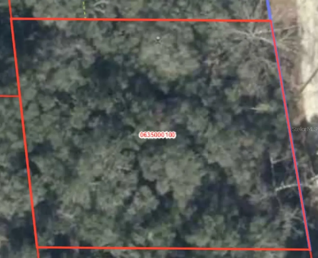 230 SE 194 Terrace Williston FL 32696
