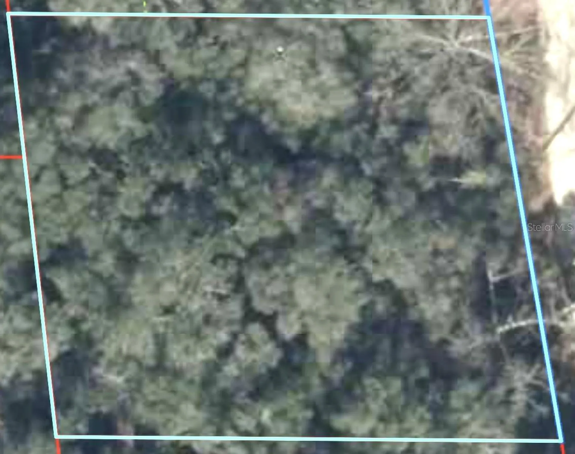 230 SE 194 Terrace Williston FL 32696