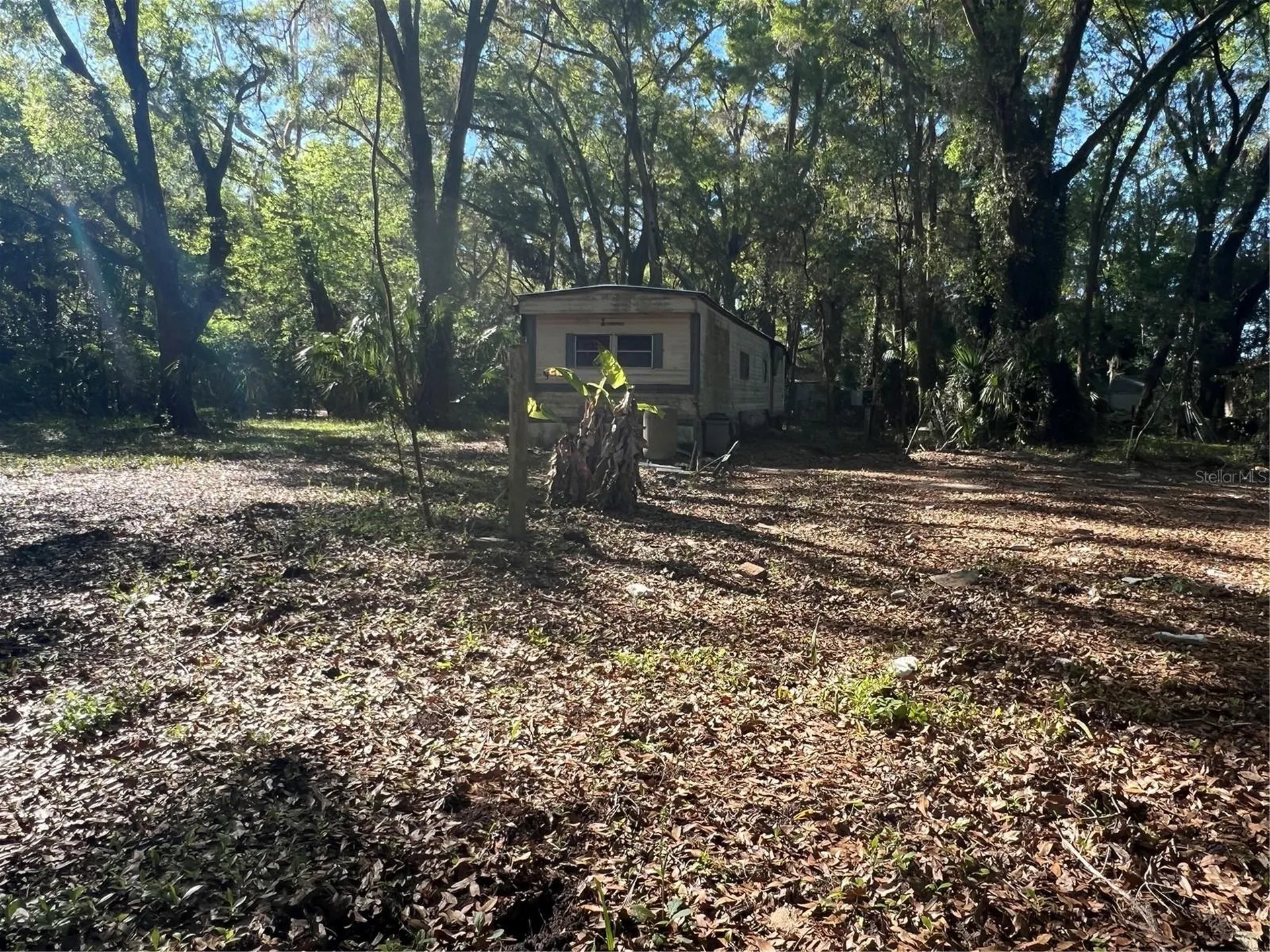 230 SE 194 Terrace Williston FL 32696