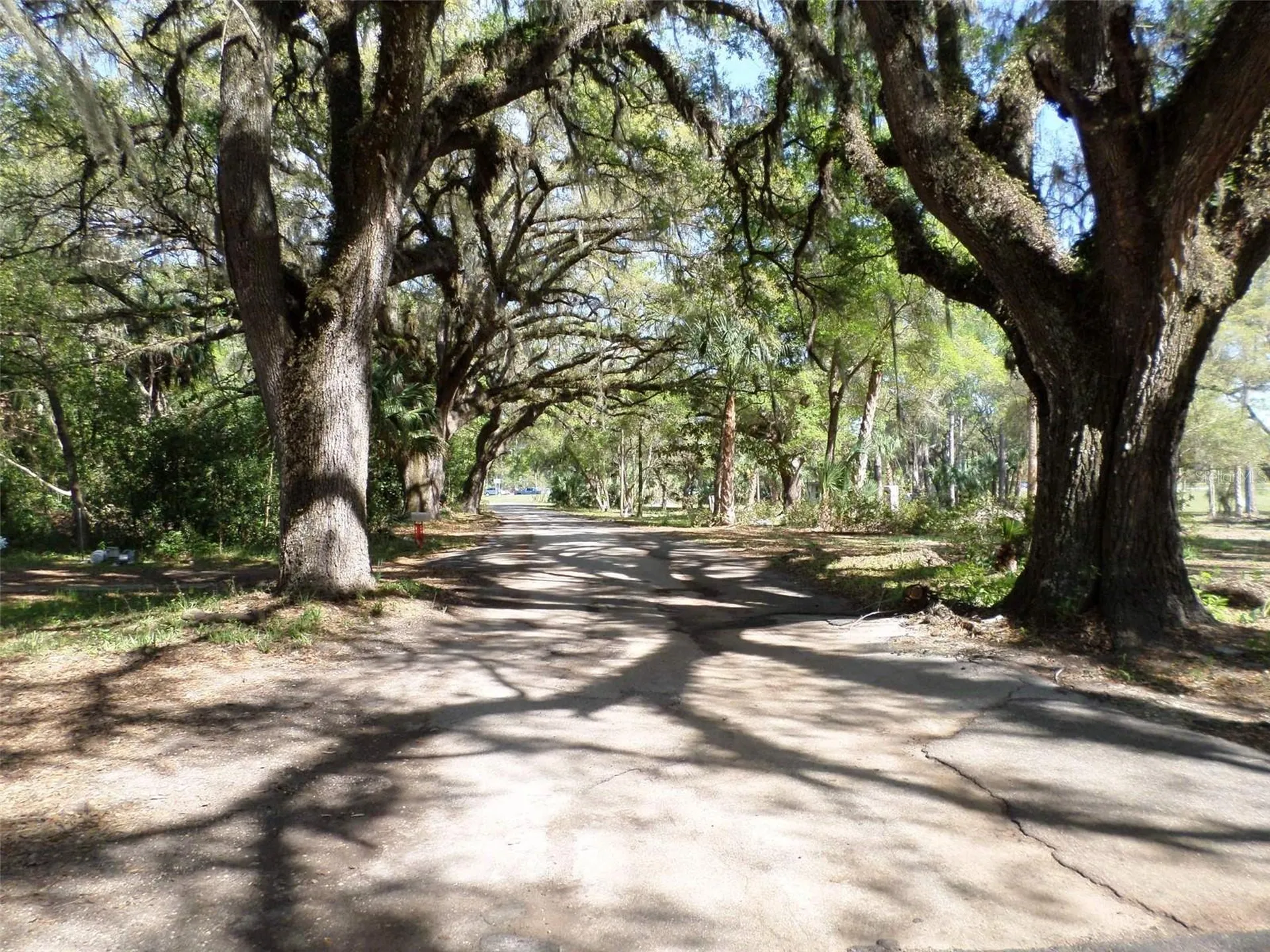 1991 W Test Court Dunnellon FL 34433