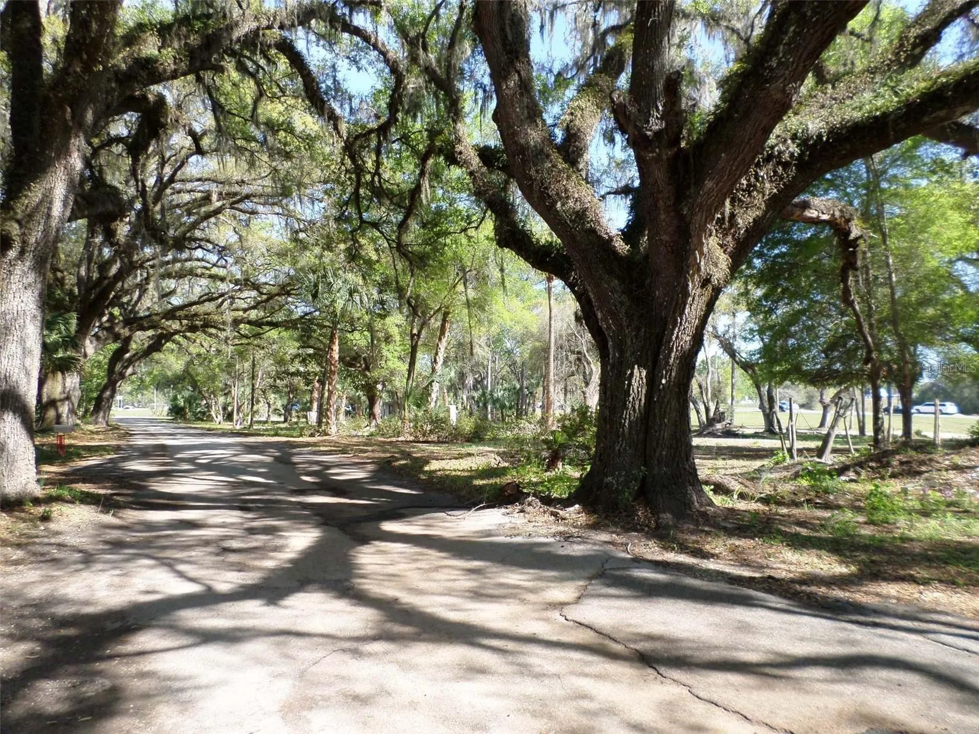 1991 W Test Court Dunnellon FL 34433
