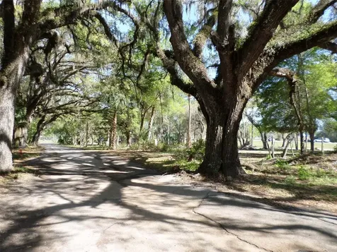 1991 W Test Court Dunnellon FL 34433