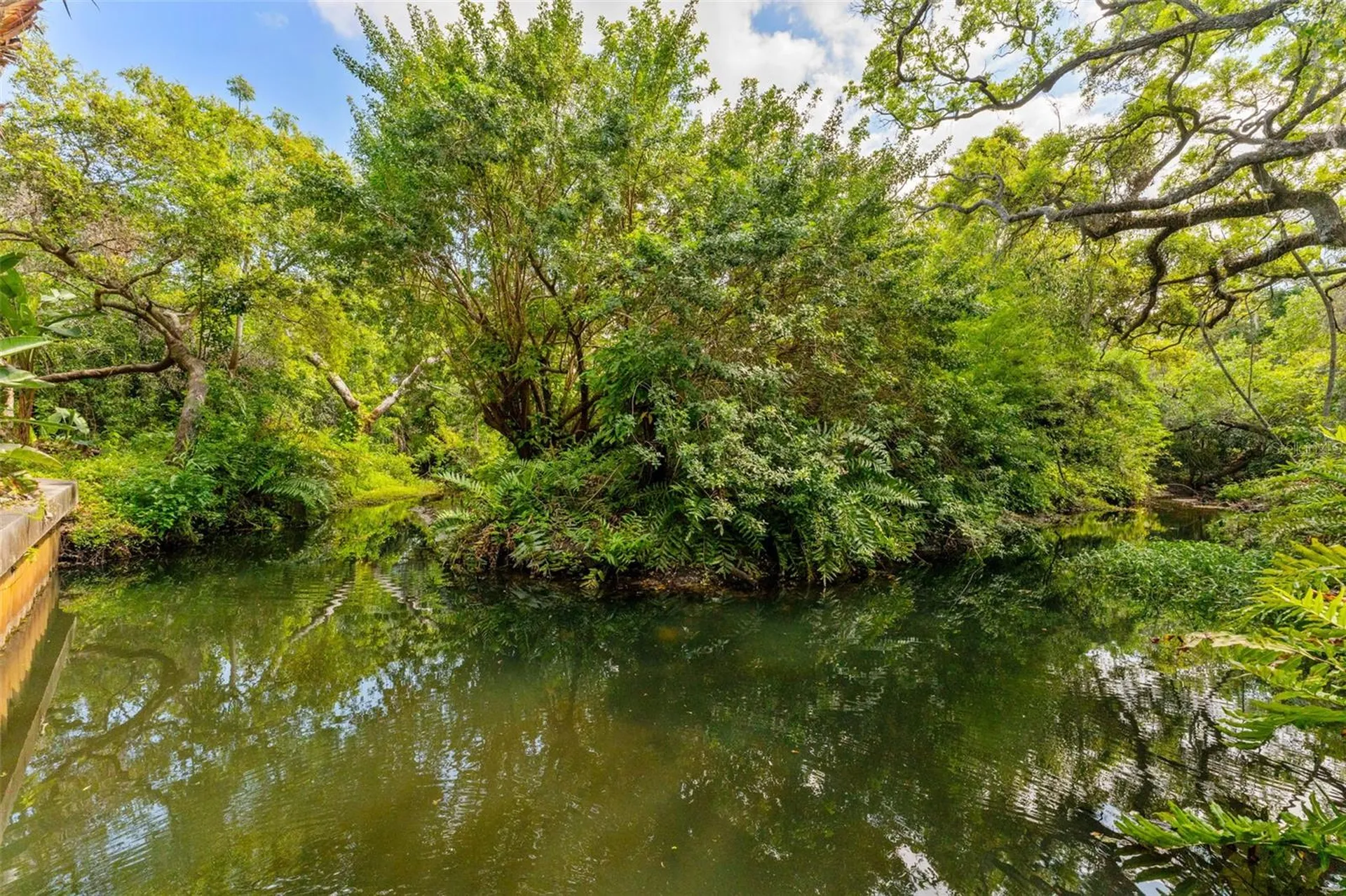 2055 Arbor Drive Clearwater FL 33760