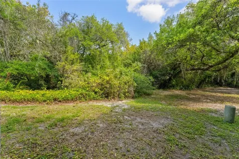 2055 Arbor Drive Clearwater FL 33760