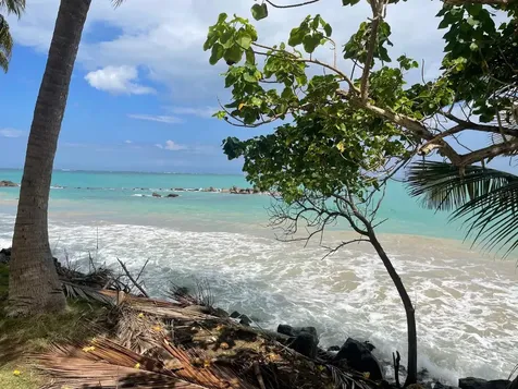 3409 Avenue Isla Verde Carolina PR 00979