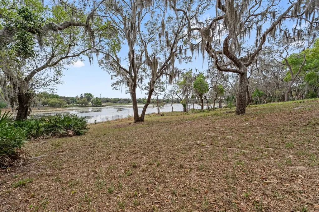 17549 Seidner Road Winter Garden FL 34787