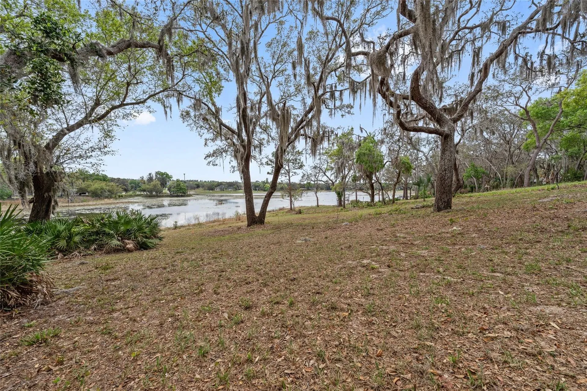 17549 Seidner Road Winter Garden FL 34787