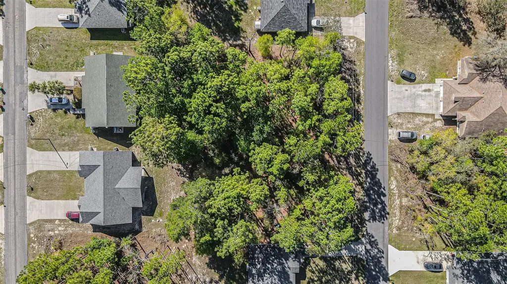9411 N Mendoza Way Citrus Springs FL 34434