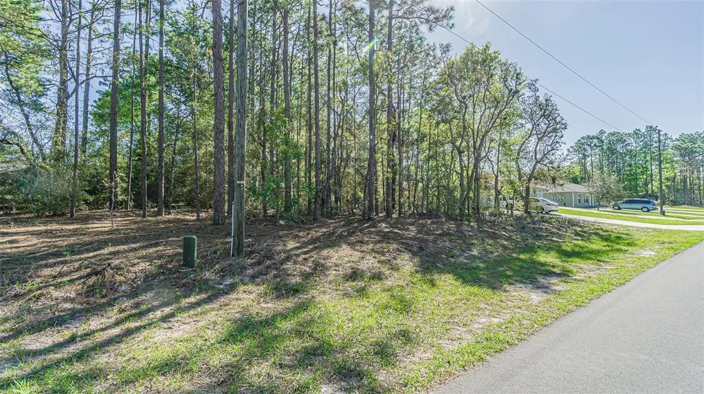 9411 N Mendoza Way Citrus Springs FL 34434