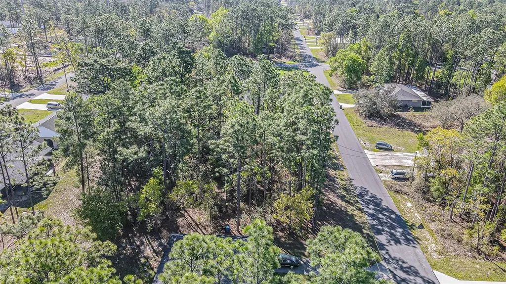9411 N Mendoza Way Citrus Springs FL 34434