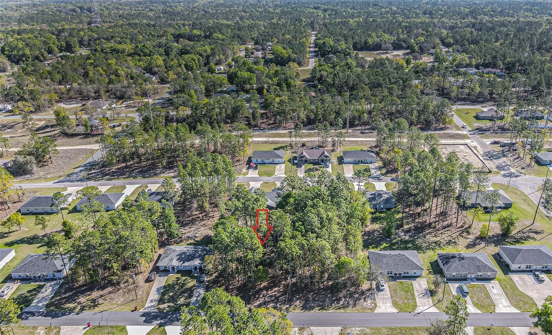 9411 N Mendoza Way Citrus Springs FL 34434