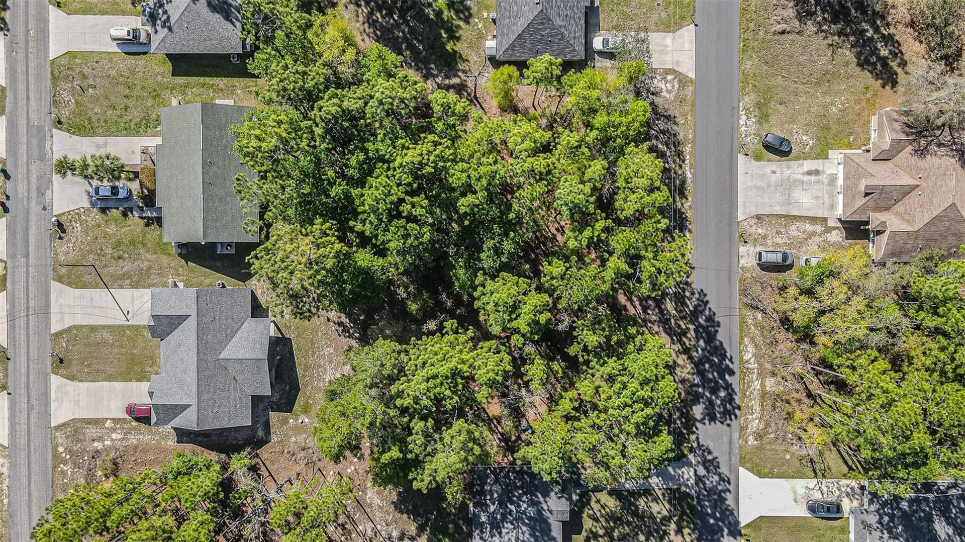 9411 N Mendoza Way Citrus Springs FL 34434