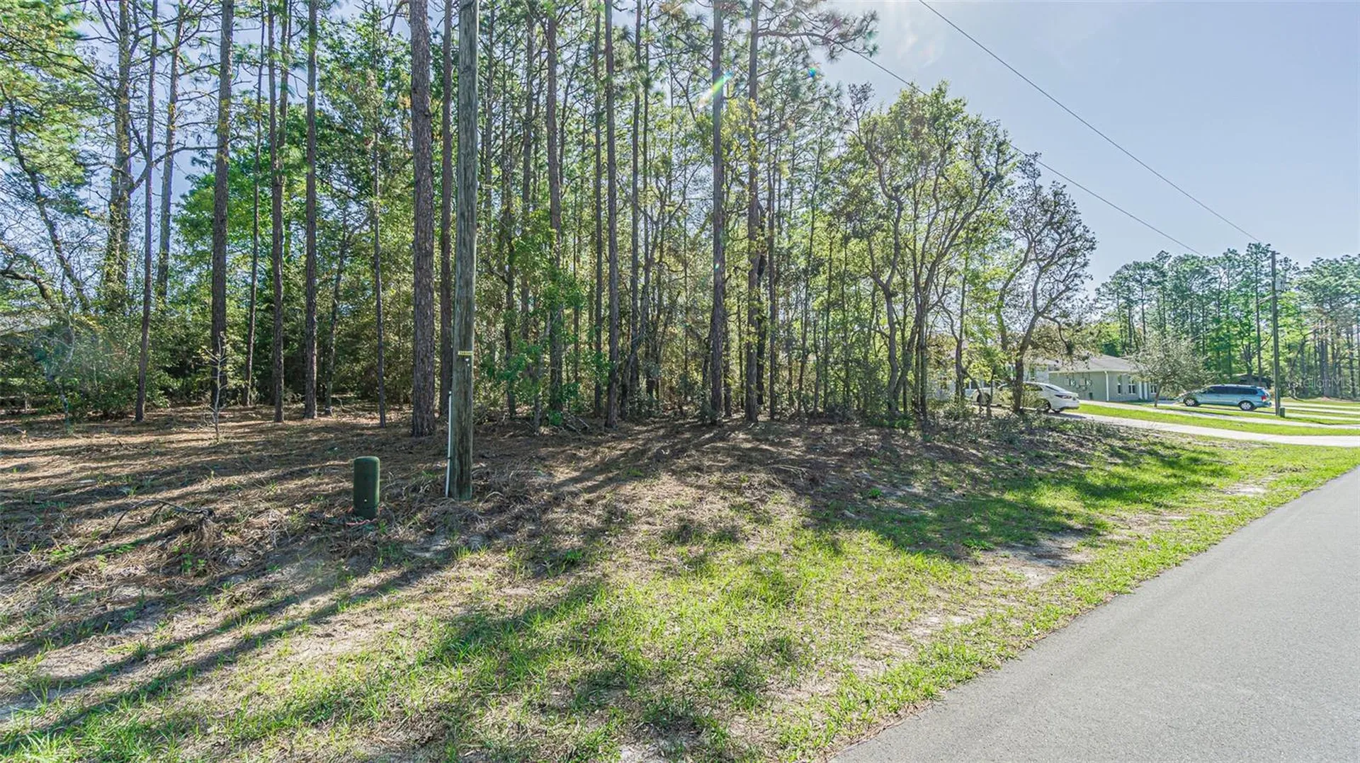 9411 N Mendoza Way Citrus Springs FL 34434