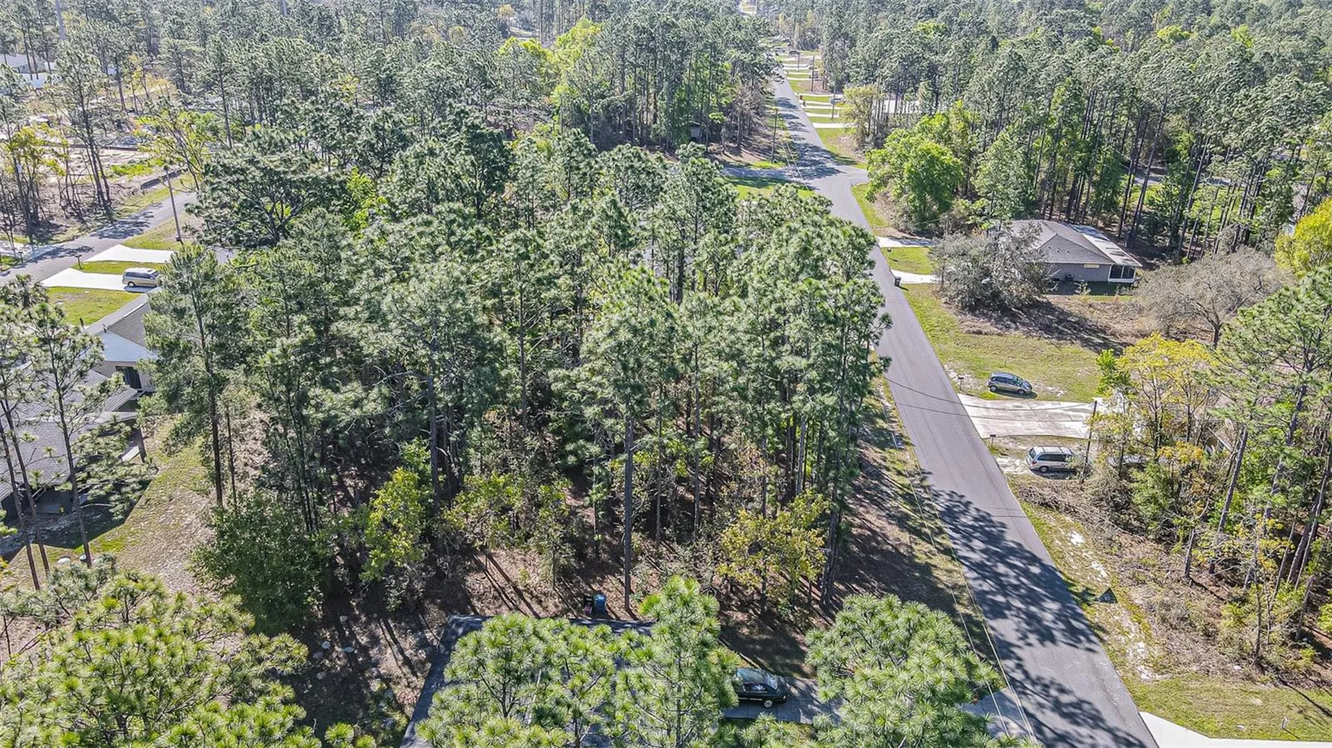 9411 N Mendoza Way Citrus Springs FL 34434