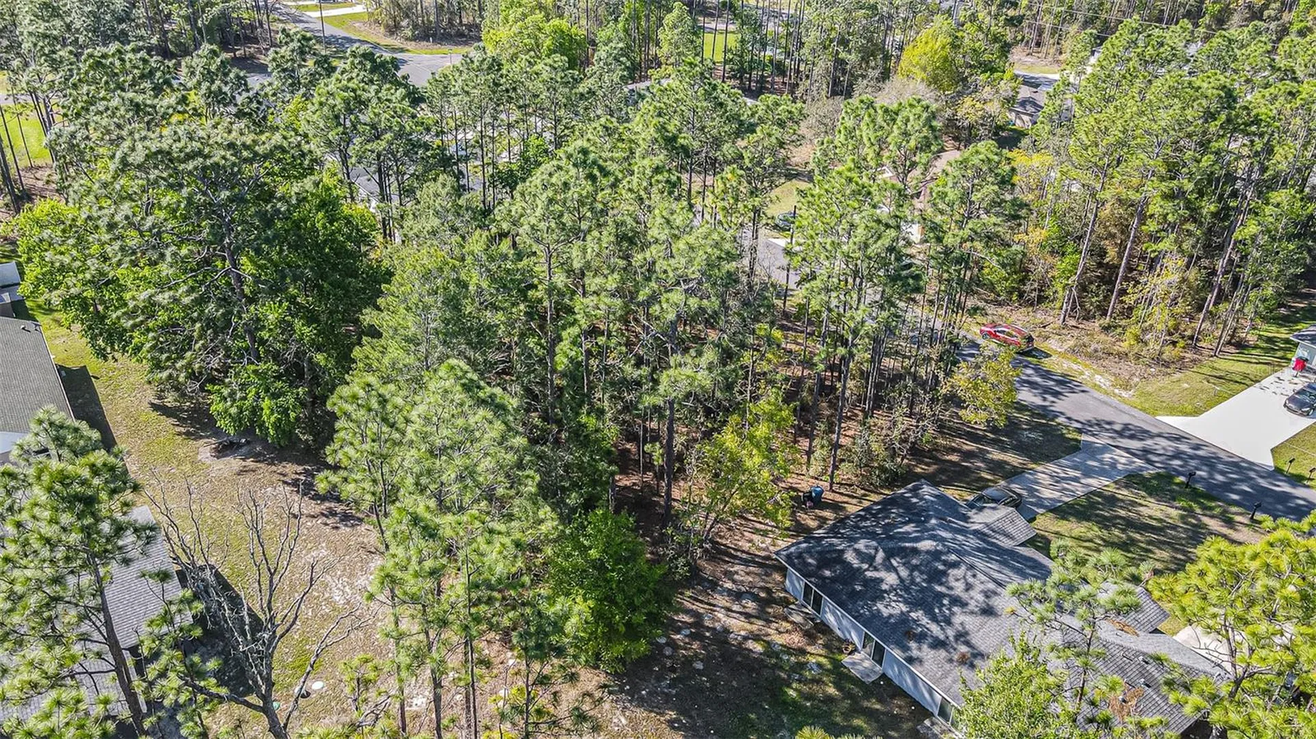 9411 N Mendoza Way Citrus Springs FL 34434